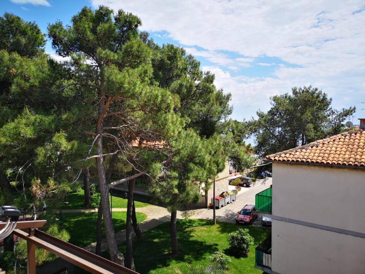 Apartment Sincic Novigrad  Exterior photo